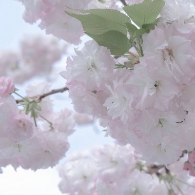 兽设零基础绘画教程FurryQQ群